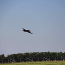 IMG_5745.jpg