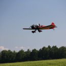 IMG_5981.jpg